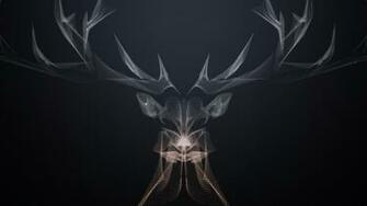 Wire Stag HD Wallpaper Background Image Id