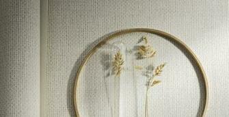 Scalamandre Terra Vinyl Wallcovering Collection