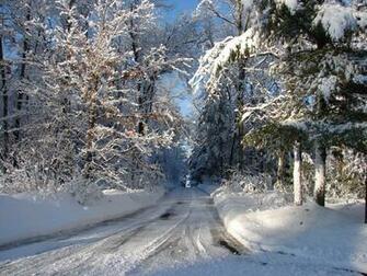 Wisconsin Woods Winter Road By Fantasystock