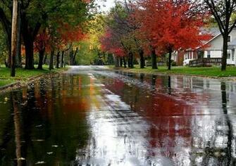 Beautiful Rainy Landscapes Wallpaper HD