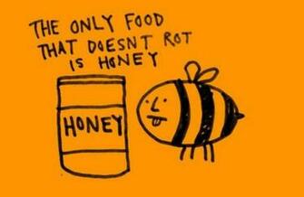 Funny Weird Facts Cool Wallpaper