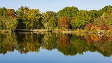 Wallpaper Usa Ozarks Missouri Autumn Nature Bridges Rivers