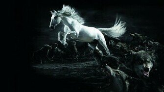 Horse Wolf Wallpaper HD White
