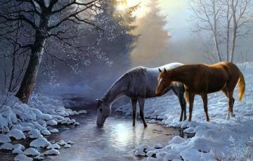 Wallpaper Winter Forest Light Snow Branches Nature Fog Tree
