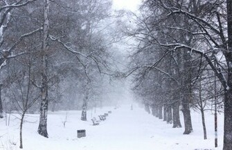Winter Park In Snow Storm Wallpaper
