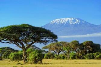 Mount Kilimanjaro Wallpaper X Net