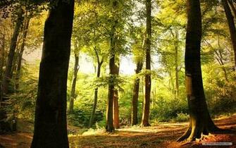 Nature Wallpaper Windows Themes Landscape