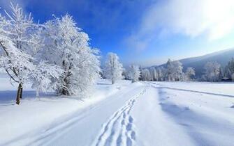 White Snowfall Winter Road July Bnvgroup345