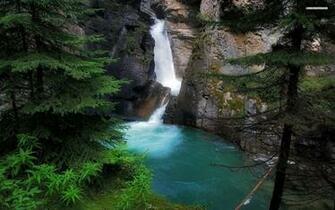 Forest Waterfall Wallpaper