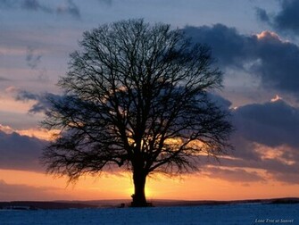 Nature Wallpaper Gallery