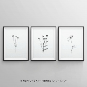 Set Of Black And White Art Prints Minimalist Wall Modern Floral Flowers Poster Wallpaper