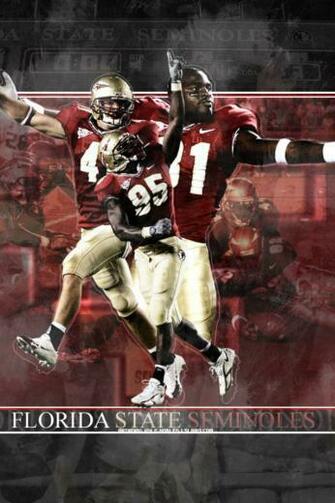 Florida State Seminoles Football Wallpaper For iPhone