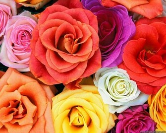Desktop Wallpaper Flowers Background Love Blooms Roses Bunch