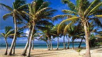 La Caravelle Beach French West Indies Wallpaper