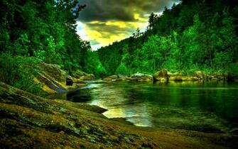 Amazon Rainforest Wallpaper
