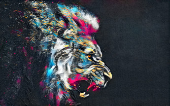 Abstract Artistic Colorful Lion 4k HD Wallpaper Image Photos And