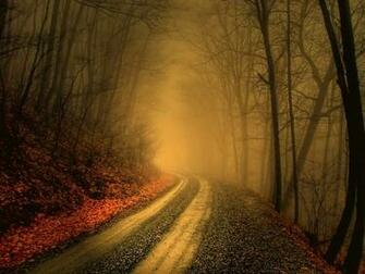 Foggy Road Wallpaper Pictures Pics Photos Image Desktop