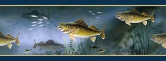 Walleye Jpg