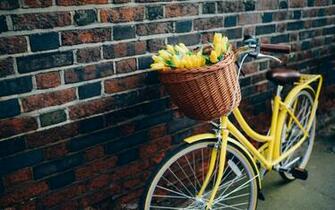 Desktop Wallpaper Gallery Windows Spring Tulips Bouquet Short News