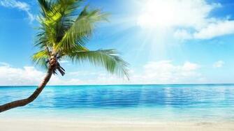 Url Smscs Photo Palm Html