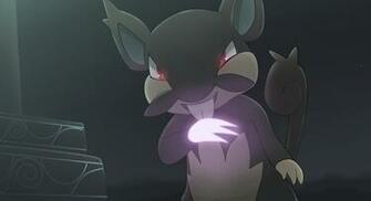 Alolan Rattata HD Wallpaper Background