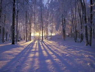 To Wallpaper Just Right Click On Pictures And Select Save