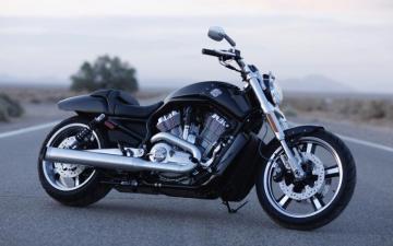 V Rod Muscle Wallpaper On