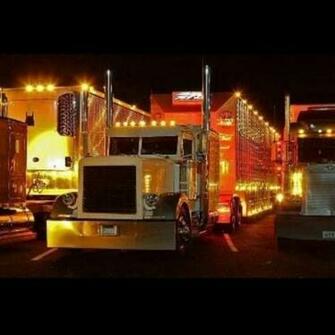 White Peterbilt Cow Hauler At Night Semis