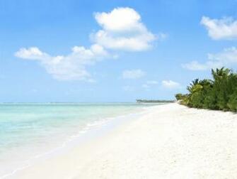 Florida Gulf Coast Beaches HD Wallpaper