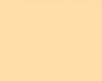 White Solid Color Background And The Below