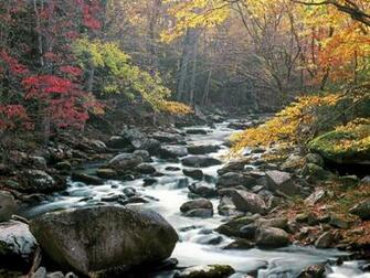 Cades Cove Great Smoky Mountains National Park Tennessee