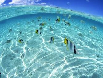Beach Hawaii S Aquamarine Sea And Blue Sky No Wallpaper
