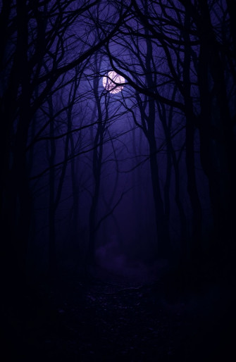 Dark Aesthetic Wallpaper