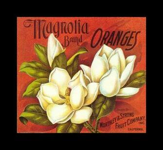 Brand Oranges Vintage Fruit Crate Labels Wallpaper Image