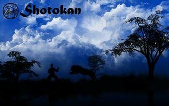 Shotokan Karate Wallpaper Vs Tiger By Joshsub