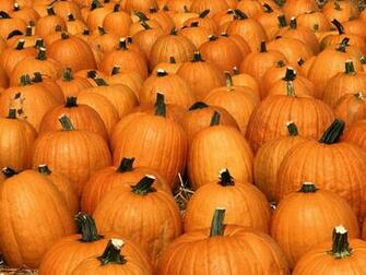 Wallpaper Pumpkin