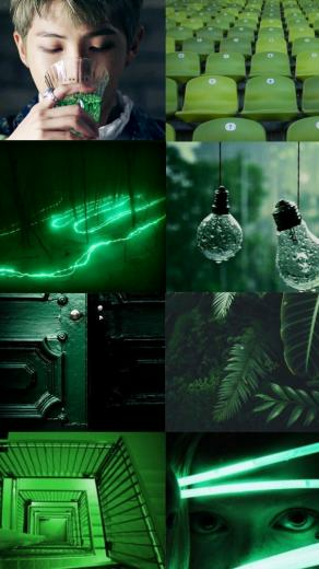 Kim Namjoon Green Devotion Aesthetic Bts
