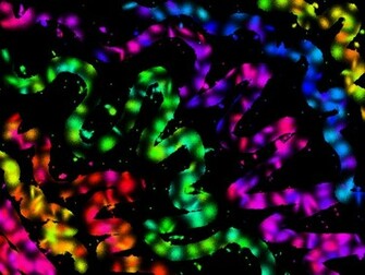 Awesome Neon Background Wallpaper By Xtiffohhx