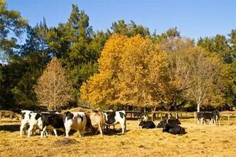 Autumn Farm Scenes HD Walls Find Wallpaper
