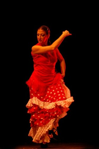 Flamenco Wallpaper Art Print Poster Desktop