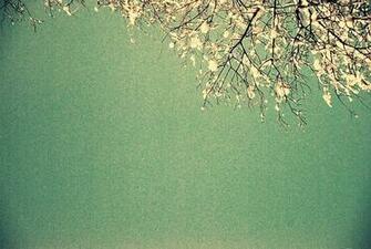 Vintage Snow On Sea Green Computer Wallpaper Turquoise