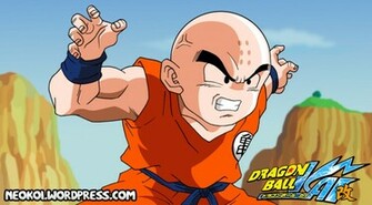 Krillin By Neokoi