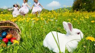 White Easter Rabbit Desktop Pc And Mac Wallpaper