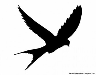 Bird Silhouette Flying Amazing Wallpaper