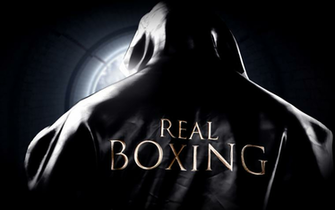 Vivid Games Real Boxing Now