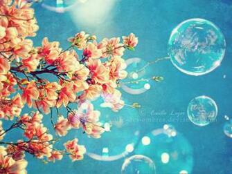 Spring Desktop Wallpaper HD