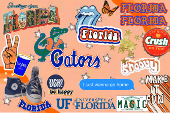 Florida Sunshine State College Wallpaper Diy Clothes