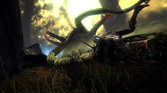 The Witcher Wallpaper Jpg