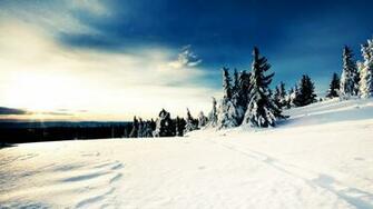 Beautiful Winter Sunny Day