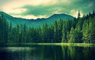 File Name Gallery For Pretty Forest Wallpaper